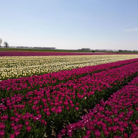 Het Zeeuws Verblijf Terneuzen Exterior foto