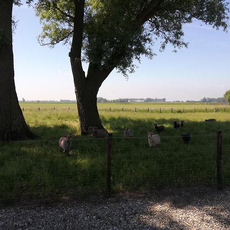 Het Zeeuws Verblijf Terneuzen Exterior foto