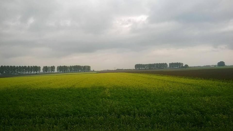 Het Zeeuws Verblijf Terneuzen Exterior foto