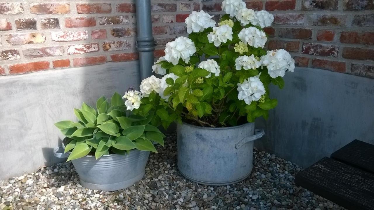 Het Zeeuws Verblijf Terneuzen Exterior foto