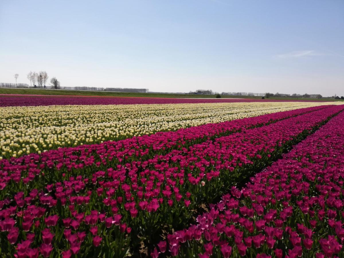 Het Zeeuws Verblijf Terneuzen Exterior foto