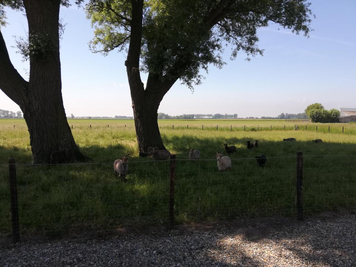 Het Zeeuws Verblijf Terneuzen Exterior foto
