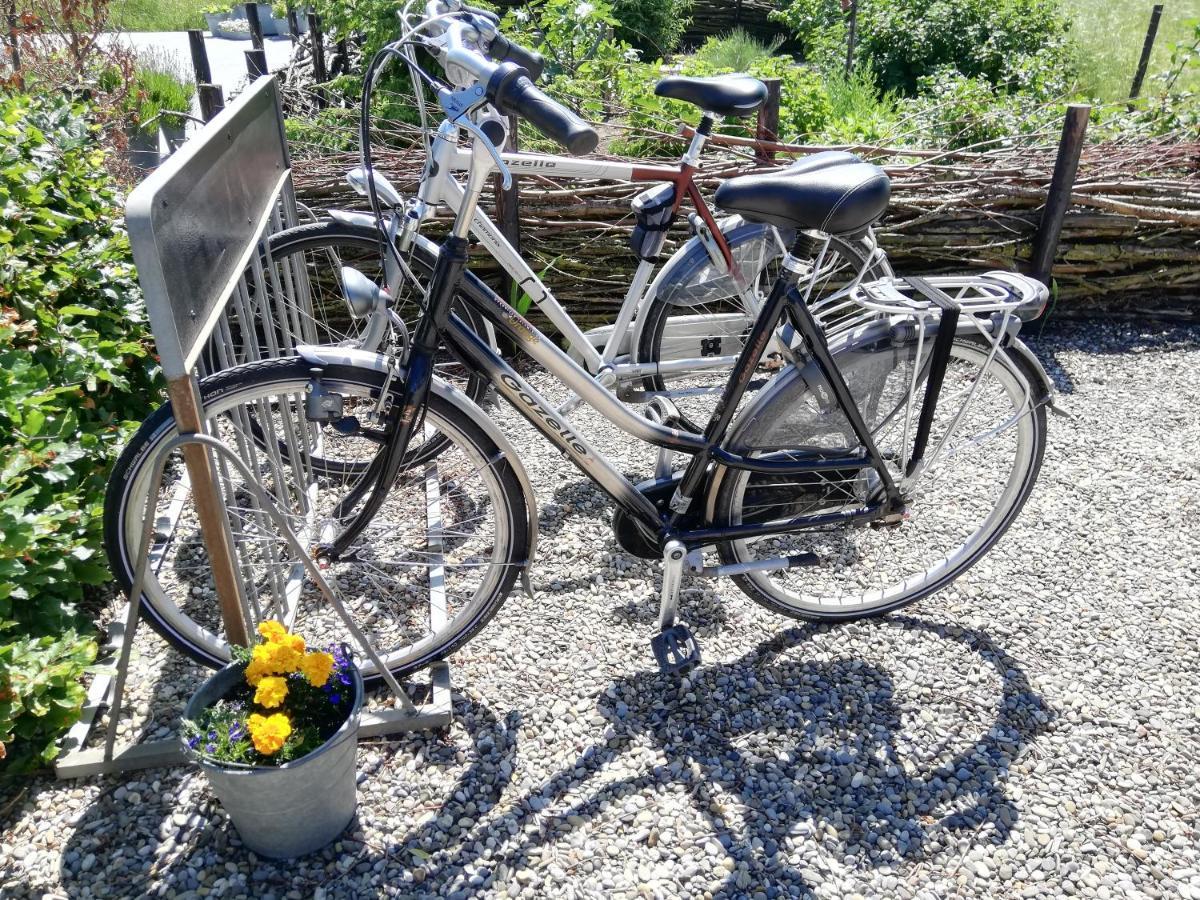 Het Zeeuws Verblijf Terneuzen Exterior foto